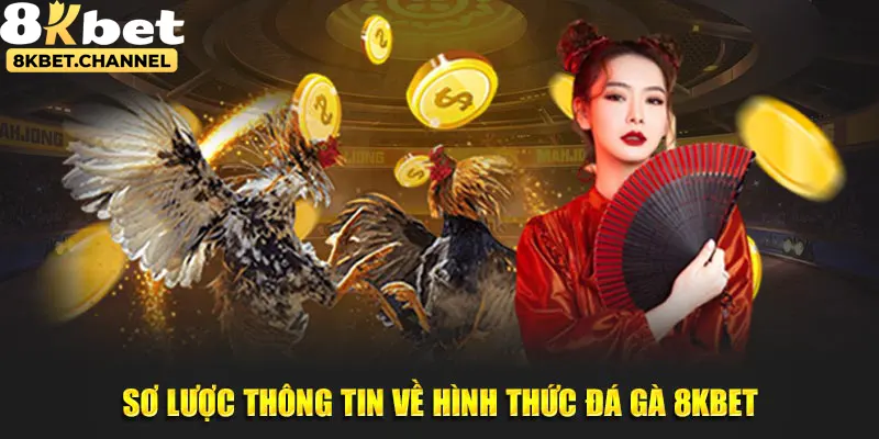 Sơ lược thông tin về hình thức đá gà 8KBET